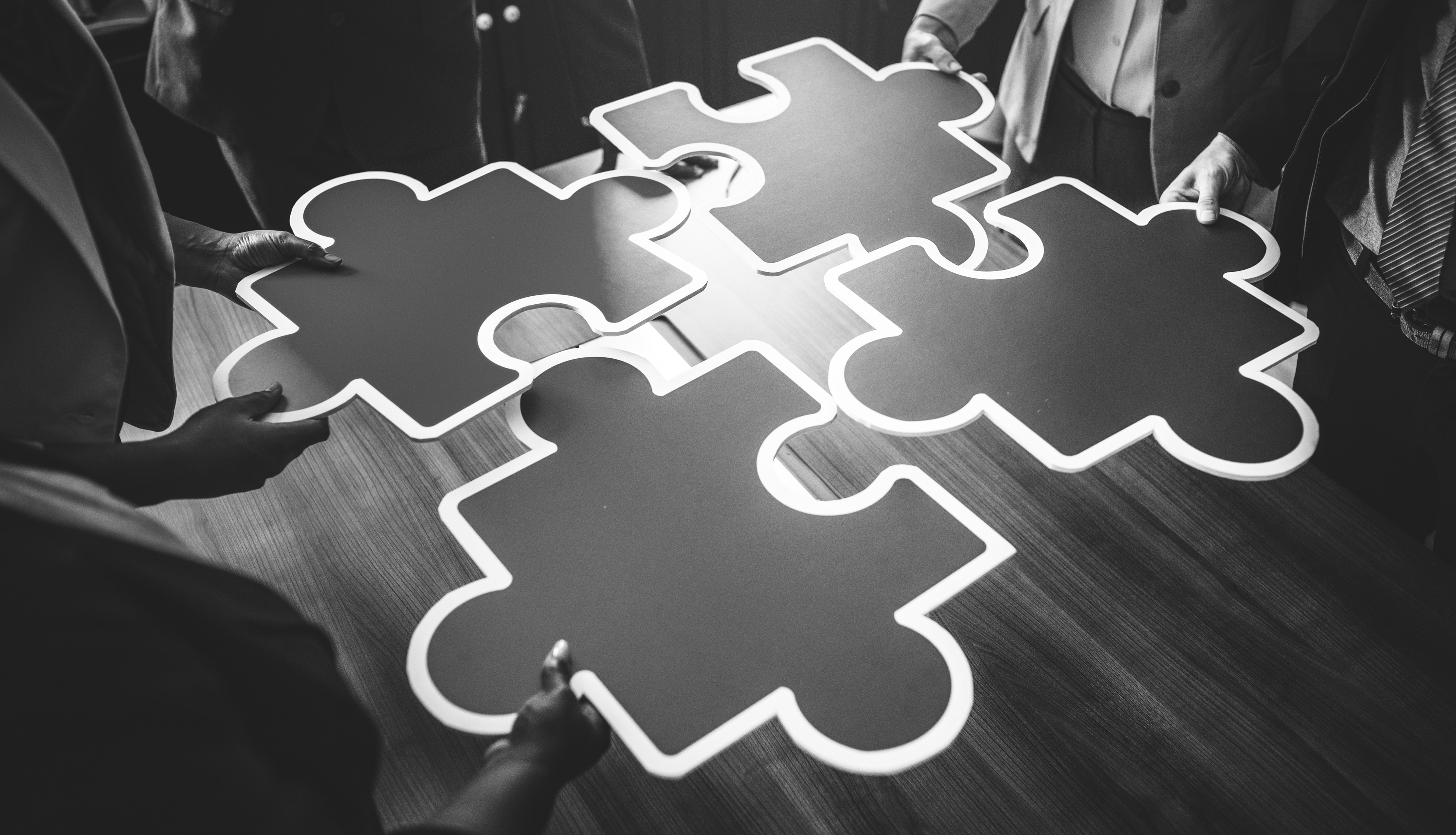 Mergers and Acquisitions: Leading and Transitioning Your People