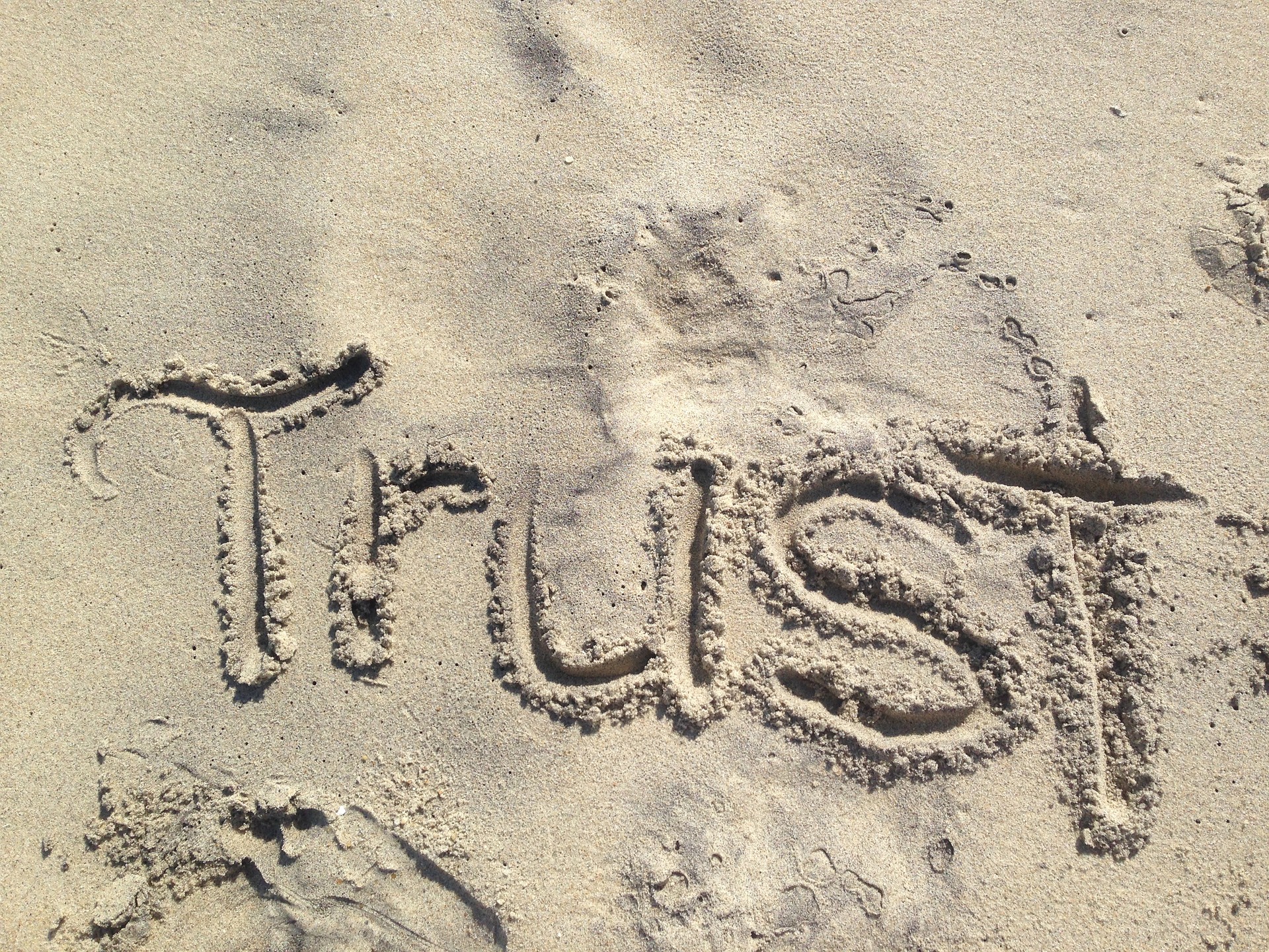 Trust and Leadership: It’s a Two-Way Street